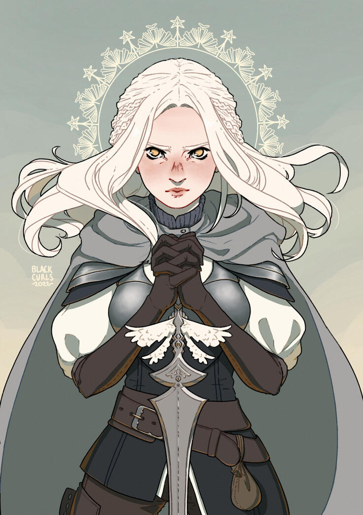 DnD Paladin DnD Paladin